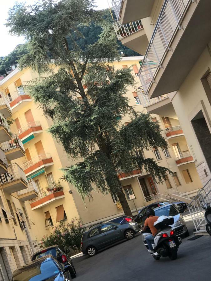 Polly Daire Rapallo Dış mekan fotoğraf