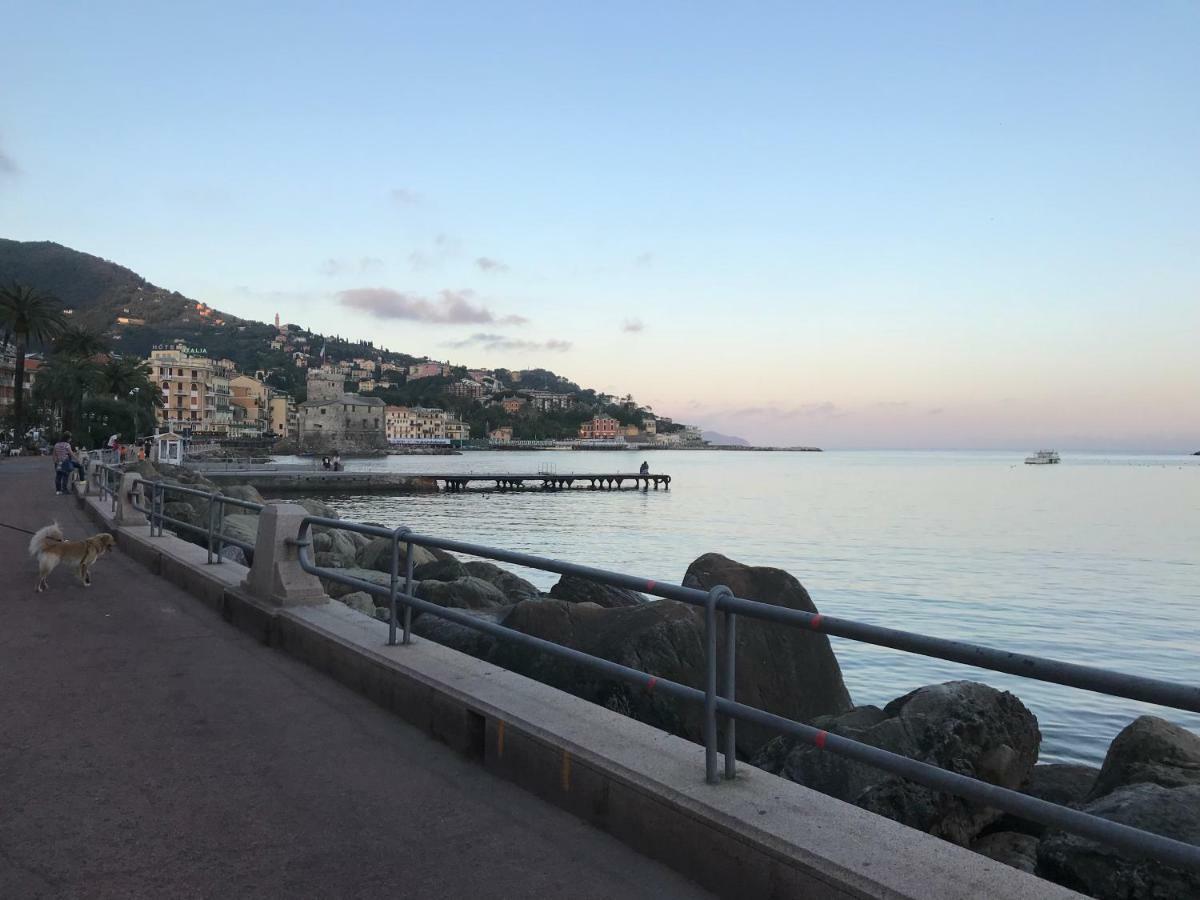 Polly Daire Rapallo Dış mekan fotoğraf